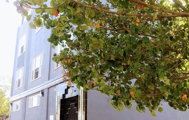 25-45 W. Tenth street