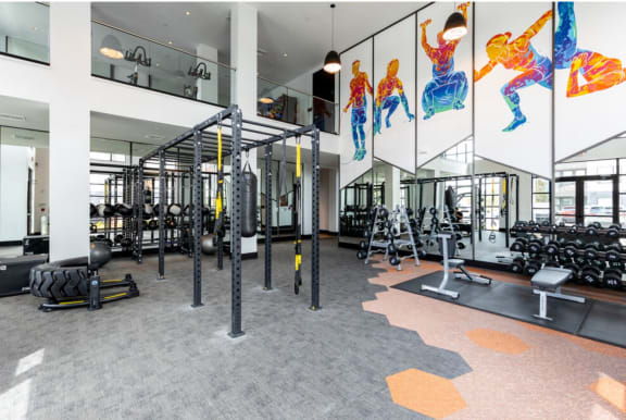 Thumbnail 19 of 25 - Gym with weights equipment at 19 South in Kissimmee, Florida