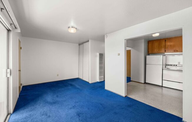 Studio, 1 bath, 390 sqft, $1,795, Unit 102