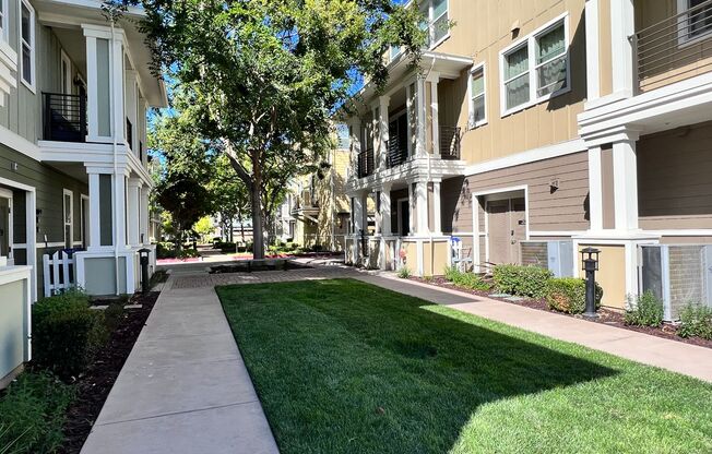 Wonderful 3 story newer townhome in Desirable South Fremont Location