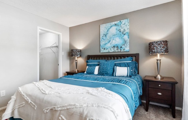 Bedroom With Walk-In Closet