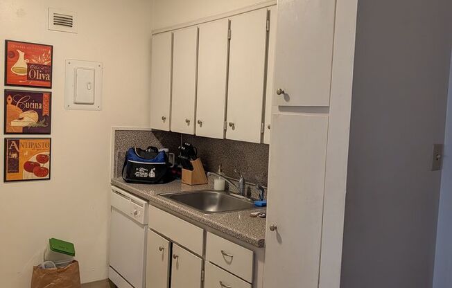 1 bed, 1 bath, 606 sqft, $2,900, Unit 505