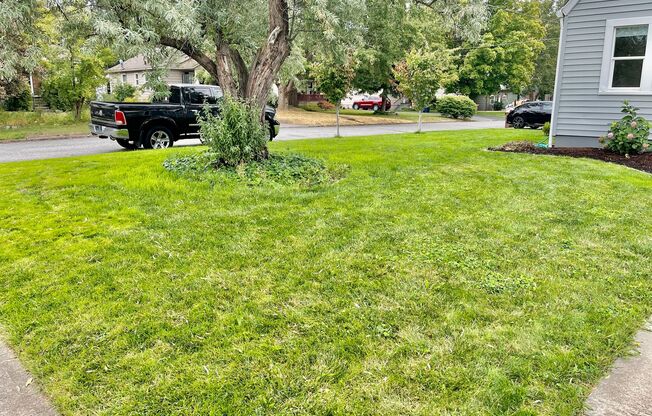 Audubon Park Rental!