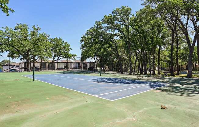 A tennis court surrounded by trees on a sunny day.