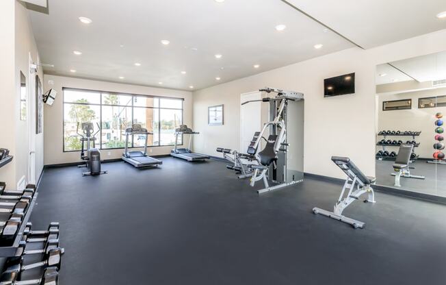 the gym has plenty of weights and cardio equipment and a large window