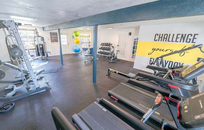 A gym with a treadmill, weights, and exercise balls.