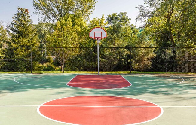 a basketball court in a park with trees