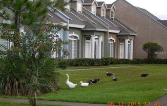 Charming 3/2.5 Spacious Townhome with a 2 Car Garage in the Gated Community of Island Walk at Meadow - Orlando!