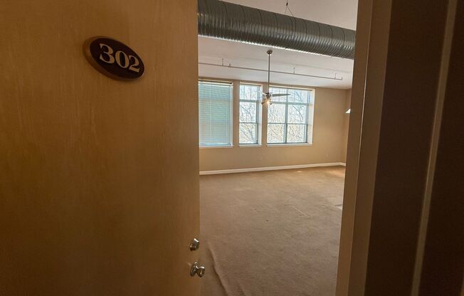 1 bed, 1 bath, 588 sqft, $1,095, Unit Apt 302