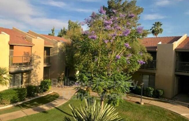 1111 E University Dr.  #241