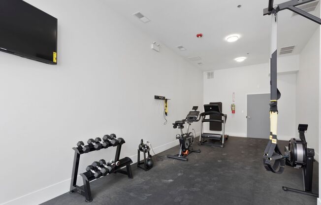 Studio, 1 bath, 360 sqft, $1,625, Unit 207