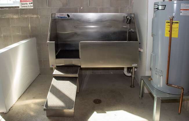 dog wash station
