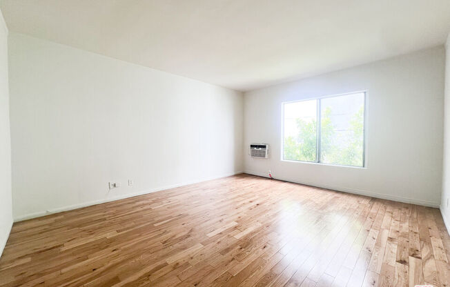 Studio, 1 bath, $1,750, Unit 37C