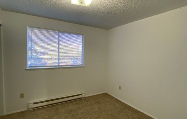 3 beds, 1 bath, $1,995