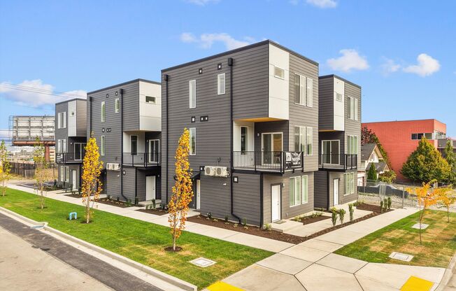 Brand New Construction 1 bed 1 Bath Available For Rent