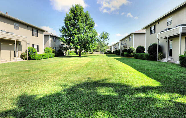 Grass courtyard between buildings at Waters Mark Apartment Homes, Gulfport, Mississippi
