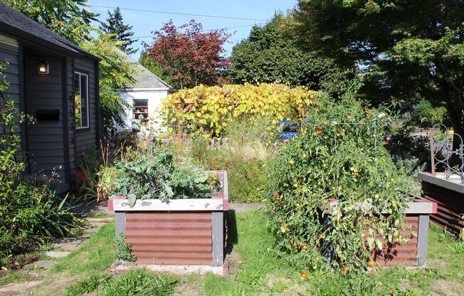 Adorable 3+ Bedroom St. Johns Bungalow with the Right Updates!