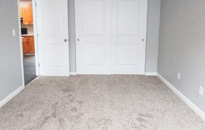 A room with two white doors and carpeted floor.