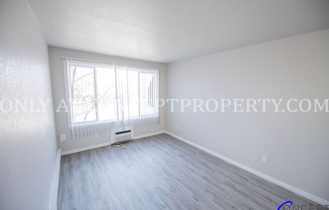 1 bed, 1 bath, 650 sqft, $999, Unit 1B