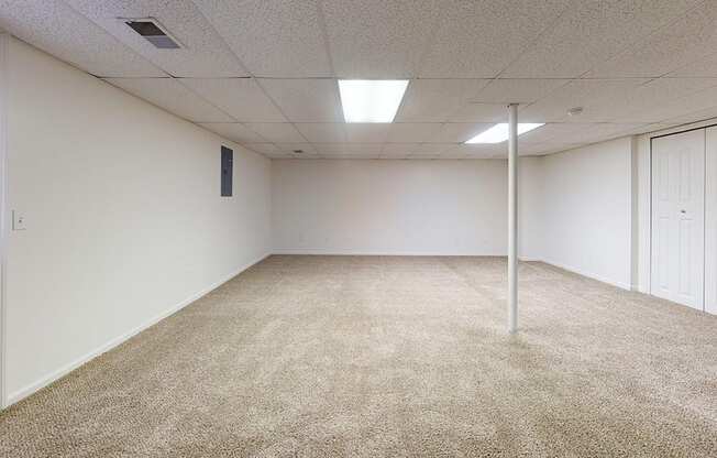 A basement with carpeted floor and storage at Foxwood and The Hermitage, Michigan