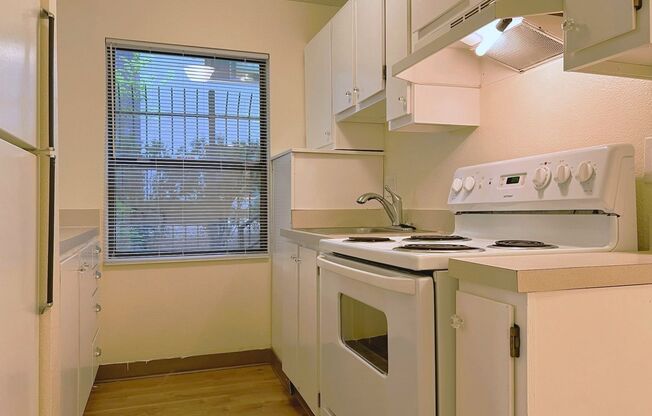 1 bed, 1 bath, 540 sqft, $1,325, Unit 7