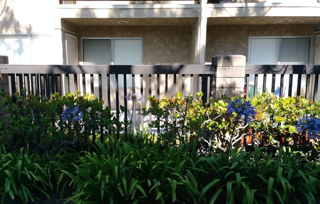 1 bed, 1 bath, 630 sqft, $2,145, Unit 135