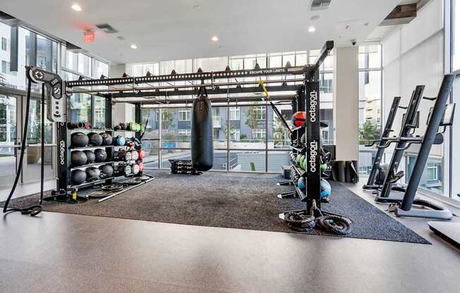 A gym with a punching bag, weights, and exercise equipment.