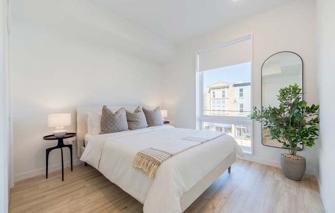 A bedroom with a large bed, a small table, and a potted plant.