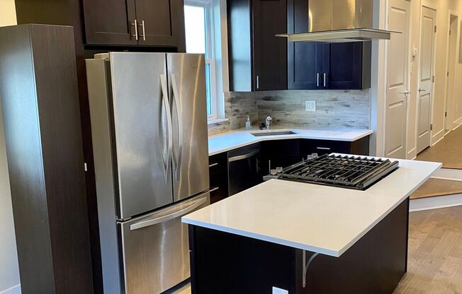 Newly Renovated 3-Bedroom Apartment in Brewerytown! Available mid-January!