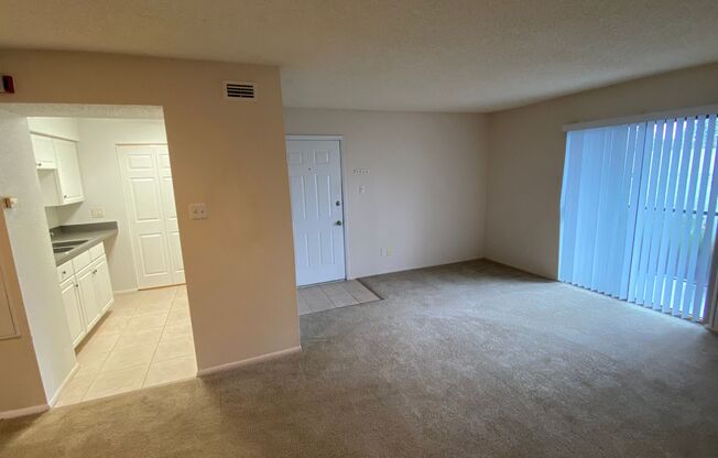 1 bed, 1 bath, $1,250