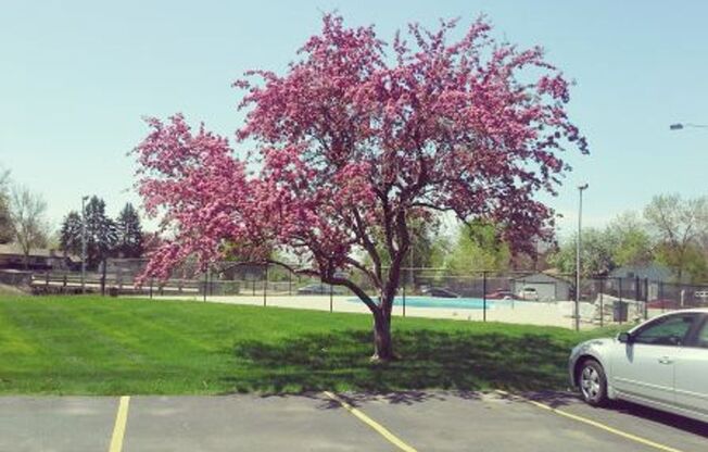 2 beds, 1 bath, 850 sqft, $1,144, Unit 7926 - 5