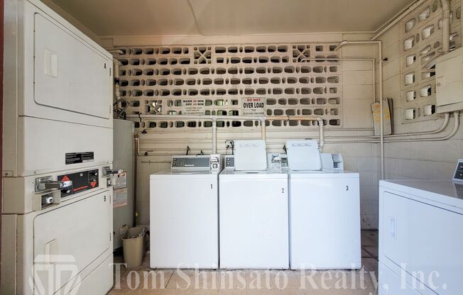 Studio, 1 bath, 265 sqft, $1,300, Unit 206
