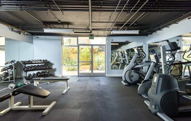 A gym with treadmills, weights, and exercise equipment.