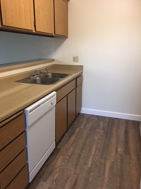 Studio, 1 bath, 600 sqft, $1,060, Unit 204