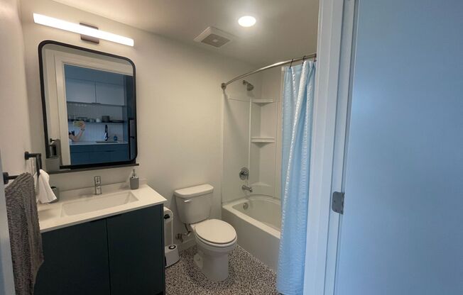 Studio, 1 bath, 241 sqft, $1,825, Unit 402