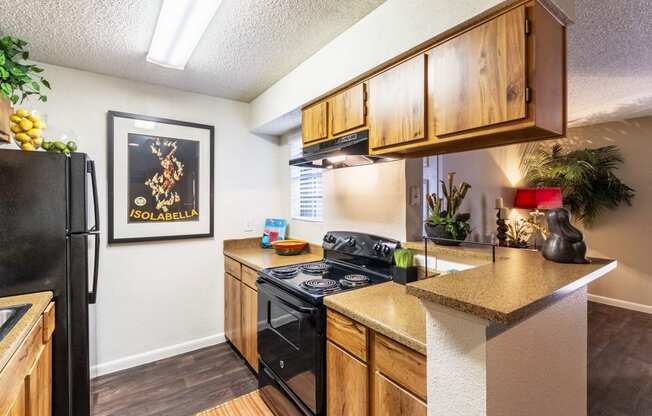Kitchen View at The Hollows Apartments in San Antonio, TX