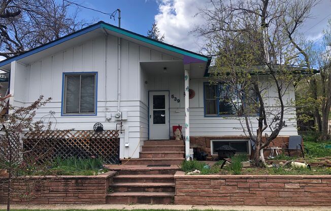 Fun, bright house with a little funk factor for character, short term furnished home in Lyons.