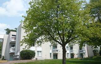 Charlton Apartments leasing office exterior with tree