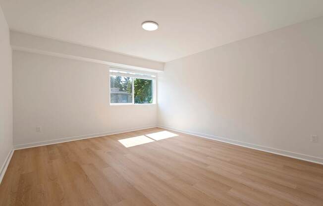 A room with wooden flooring and a window letting in sunlight.