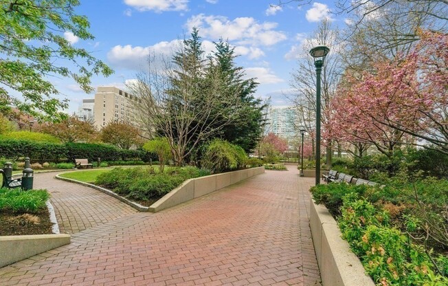 1 bed, 1 bath, 830 sqft, $3,100, Unit 10C
