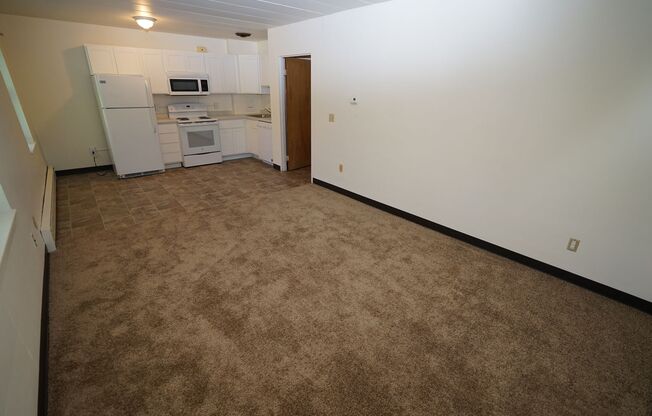 1 bed, 1 bath, $1,125, Unit 3C