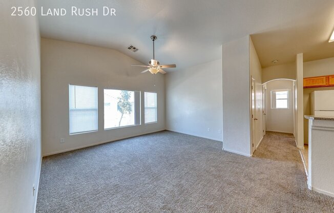 2560 LNDG RUSH DR