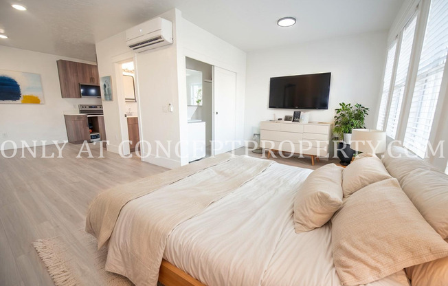 Studio, 1 bath, 435 sqft, $1,099, Unit 12