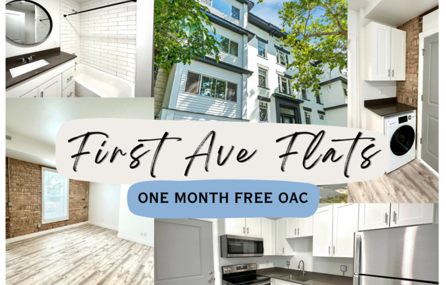 Studio, 1 bath, 208 sqft, $1,199, Unit 3E