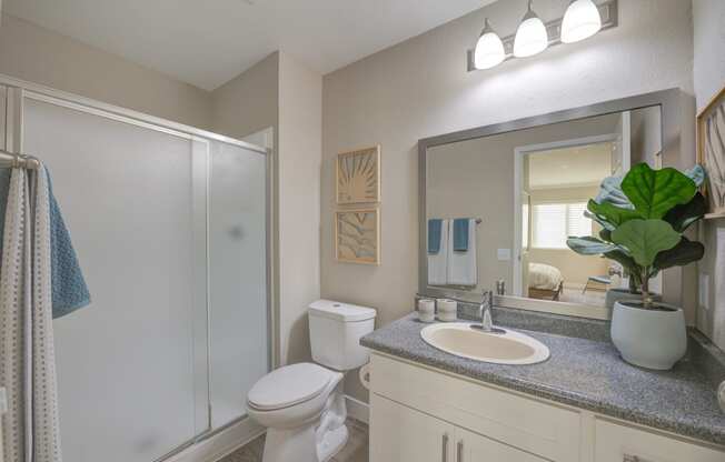 Pet-Friendly Apartments in Moreno Valley, CA - Ardella on Chagall - Bathroom with Frosted Glass Shower Enclosure, Hardwood-Style Flooring, White Cabinetry, Large Framed Vanity Mirror, and Decorative Plant.