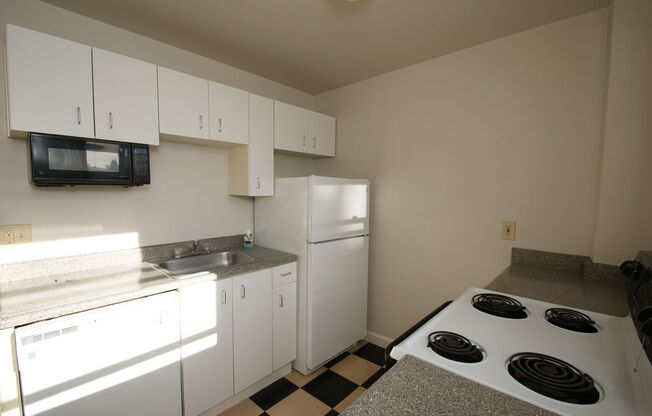 Studio, 1 bath, 405 sqft, $1,195, Unit 315