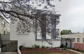 Forti and Cohen (1308 Poinsettia)