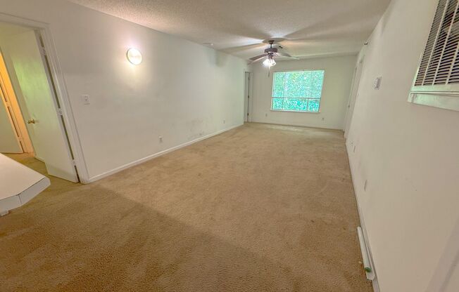 Top floor 4 bed 4 bath condo! On Wolfline, perfect for roommates!