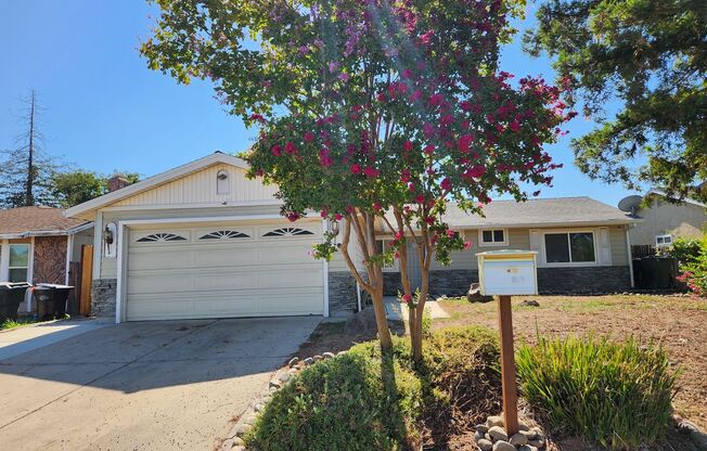 7263 Hayward Dr - Florin 95828