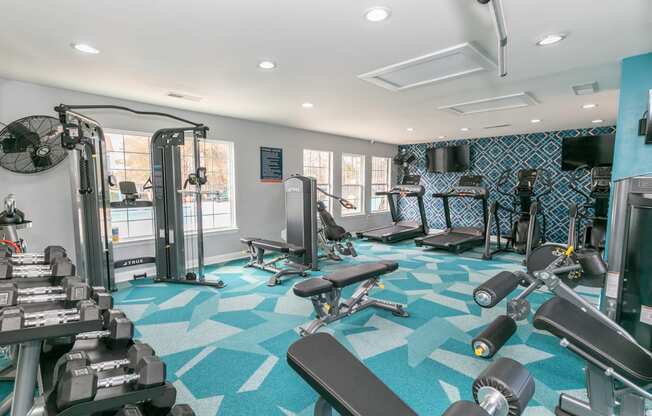 a gym with cardio machines and weights on a blue rug